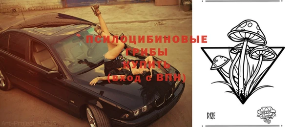 амф Беломорск