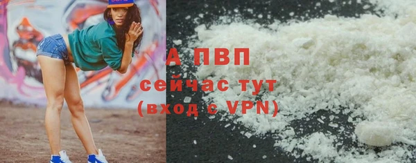 мяу мяу кристалл Богданович