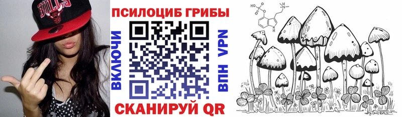 где купить наркоту  площадка телеграм  Галлюциногенные грибы ЛСД  Гай 